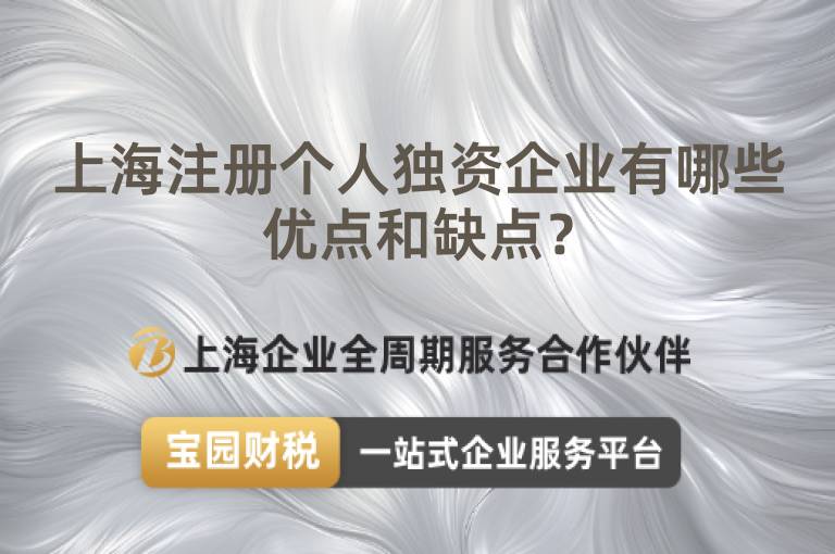 上海注冊個人獨資企業有哪些優點和缺點？