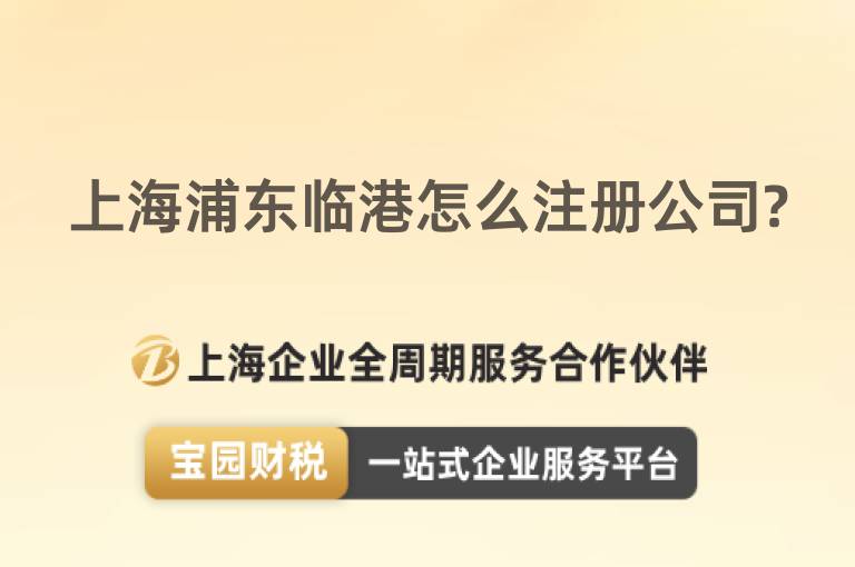 上海浦東臨港怎么注冊公司?