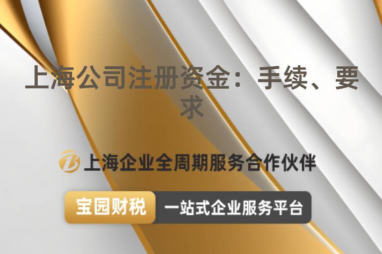 上海公司注冊資金：手續、要求
