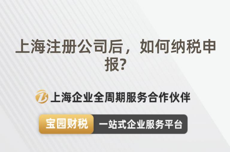 上海注冊公司后，如何納稅申報?
