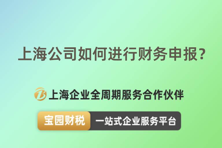 上海公司如何進行財務(wù)申報？