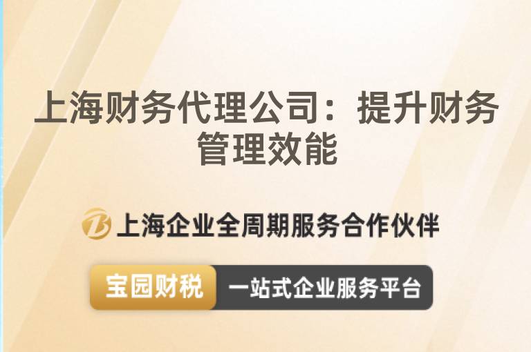 上海財務代理公司：提升財務管理效能