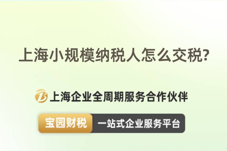 上海小規(guī)模納稅人怎么交稅?