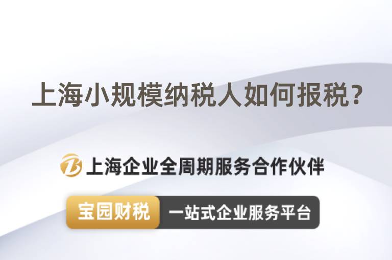 上海小規模納稅人如何報稅？