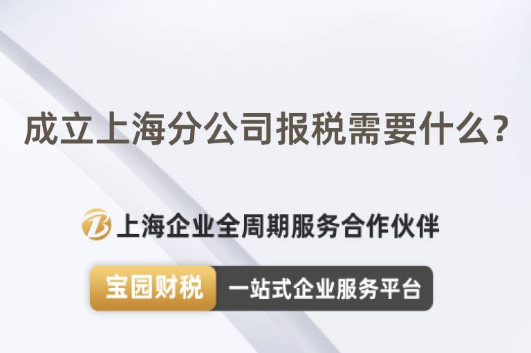 成立上海分公司報稅需要什么？
