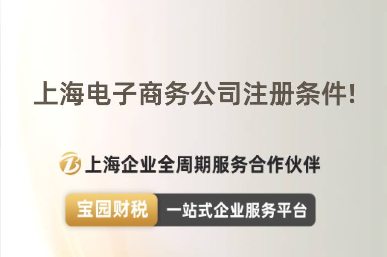 上海電子商務公司注冊條件!