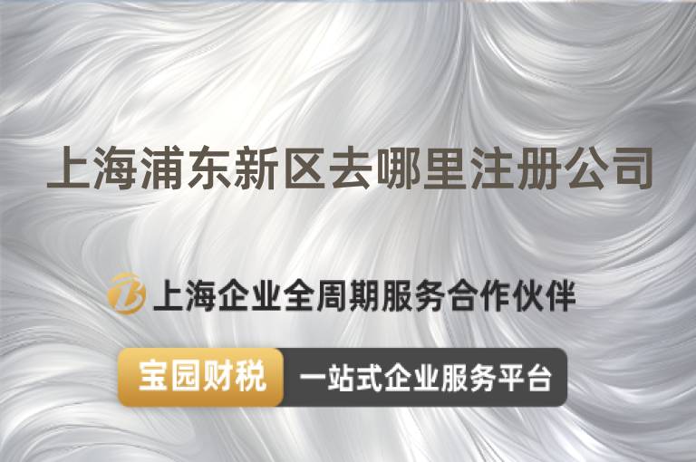 上海浦東新區去哪里注冊公司