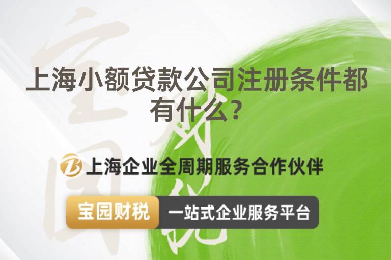 上海小額貸款公司注冊條件都有什么？