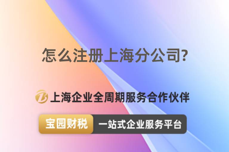 怎么注冊上海分公司?