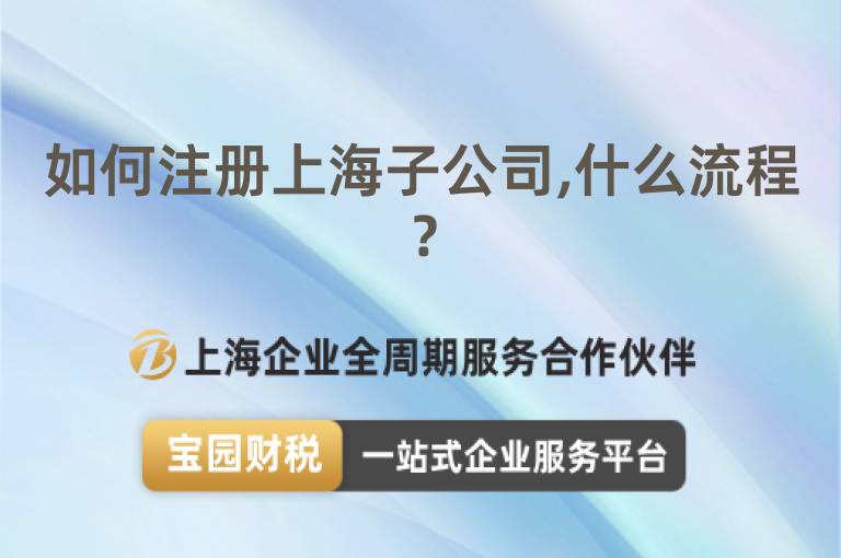 如何注冊上海子公司,什么流程？