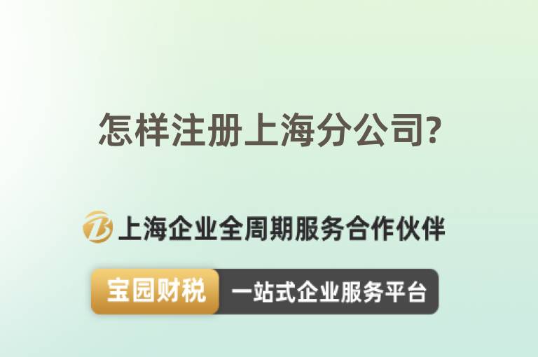 怎樣注冊上海分公司?