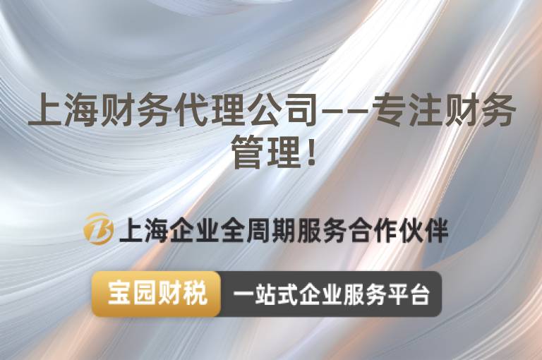 上海財務代理公司——專注財務管理！