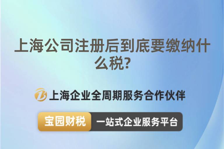 上海公司注冊后到底要繳納什么稅?