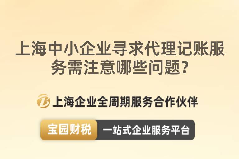 上海中小企業尋求代理記賬服務需注意哪些問題？