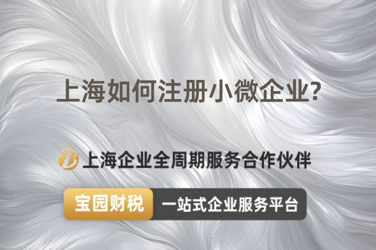 上海如何注冊小微企業?