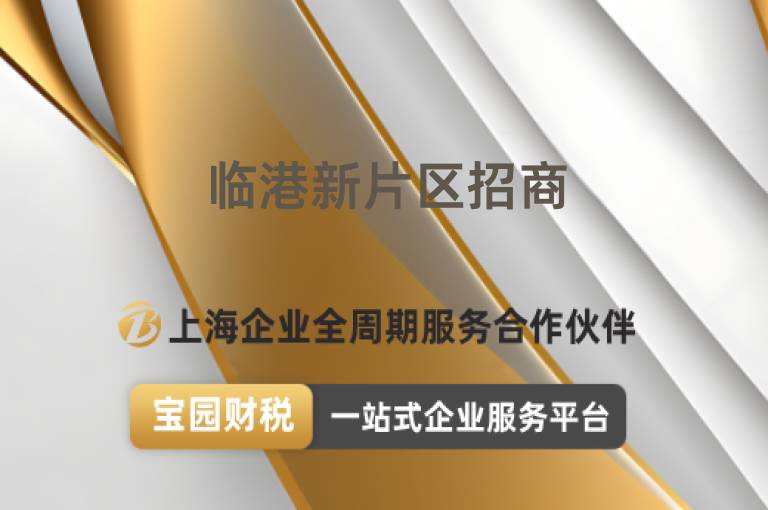 臨港新片區招商