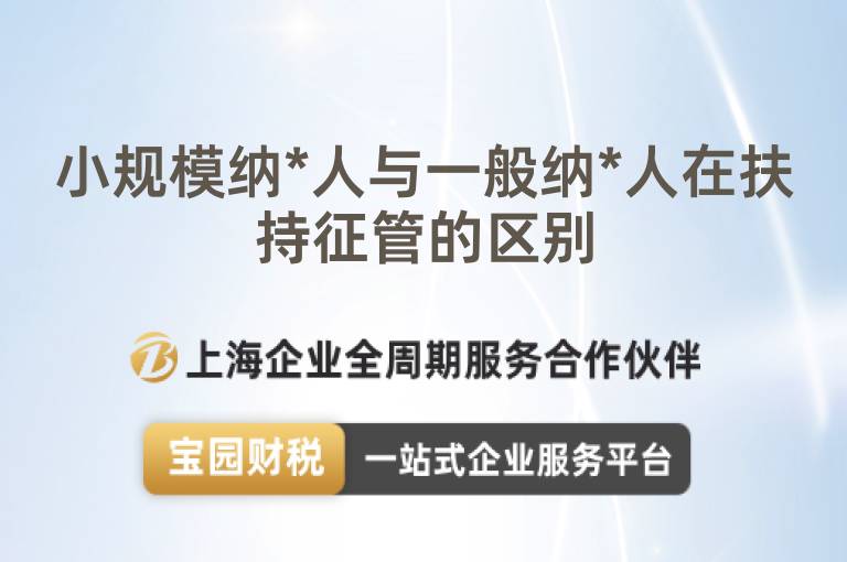 小規(guī)模納*人與一般納*人在扶持征管的區(qū)別