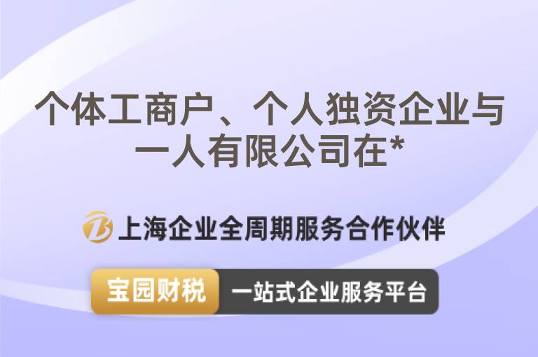 個(gè)體工商戶、個(gè)人獨(dú)資企業(yè)與一人有限公司在*
