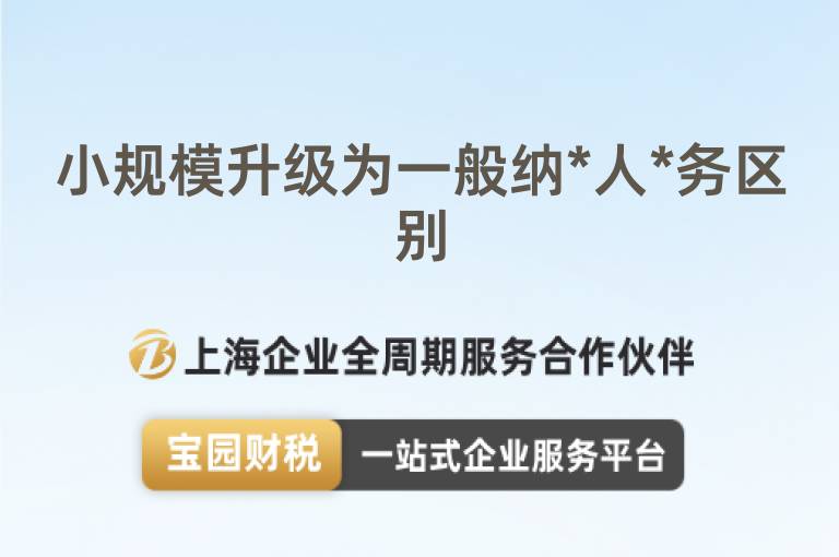 小規模升級為一般納*人*務區別