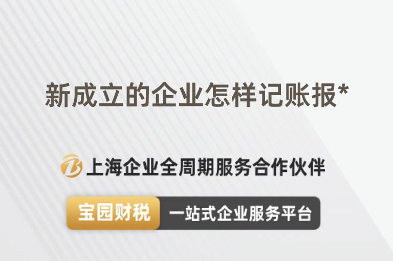 新成立的企業怎樣記賬報*