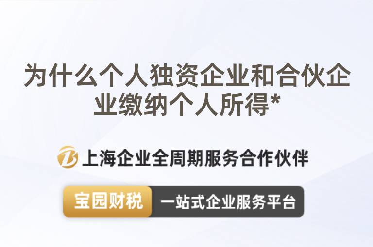 為什么個人獨資企業(yè)和合伙企業(yè)繳納個人所得*