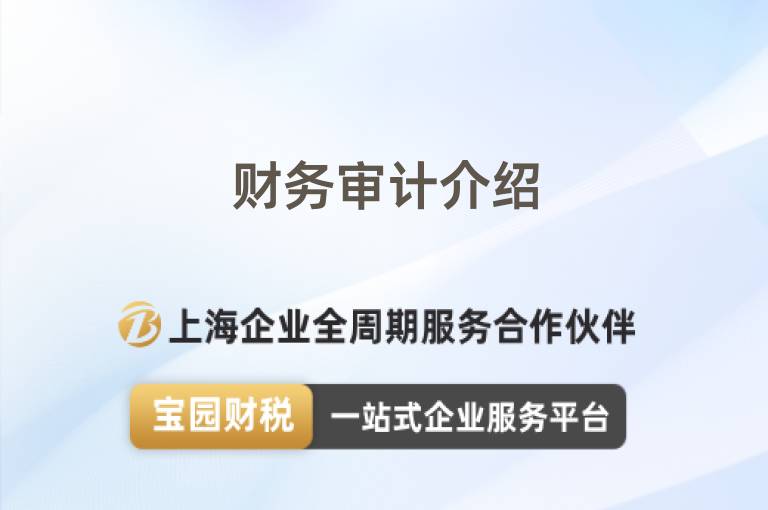 財(cái)務(wù)審計(jì)介紹