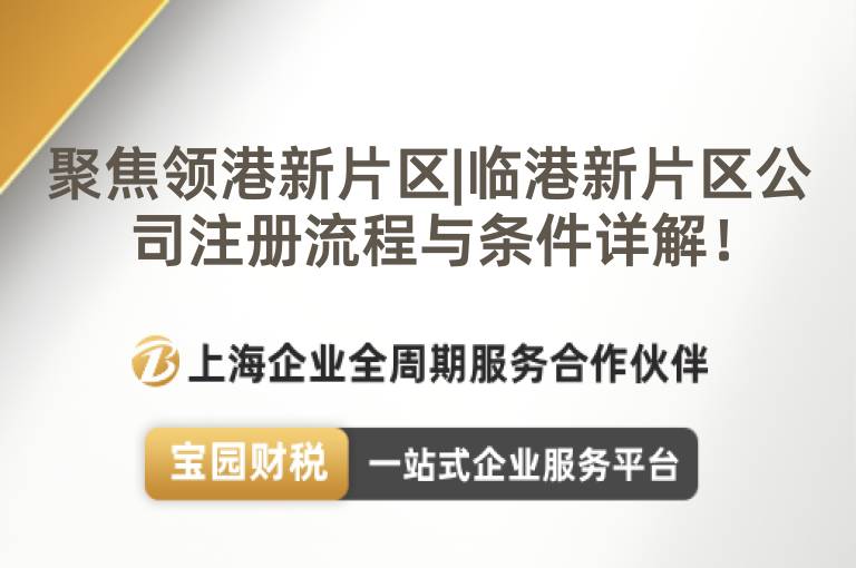 聚焦領港新片區|臨港新片區公司注冊流程與條件詳解！