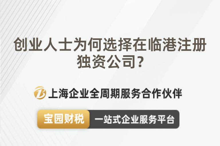 創業人士為何選擇在臨港注冊獨資公司？