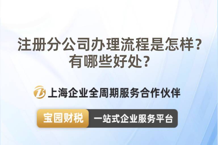 注冊(cè)分公司辦理流程是怎樣？有哪些好處？