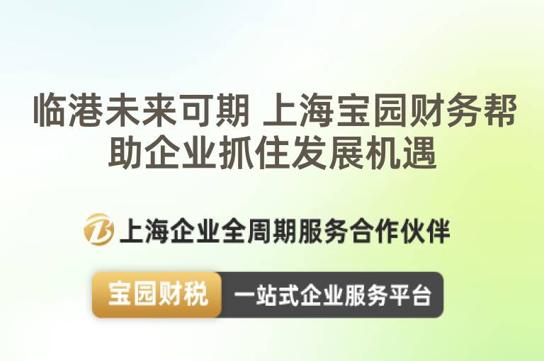 臨港未來可期 上海寶園財務幫助企業抓住發展機遇