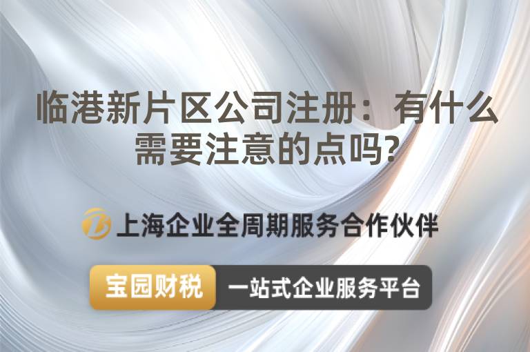 臨港新片區公司注冊：有什么需要注意的點嗎?