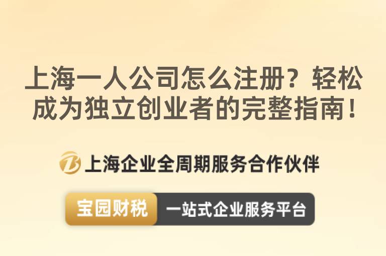 上海一人公司怎么注冊？輕松成為獨立創業者的完整指南！