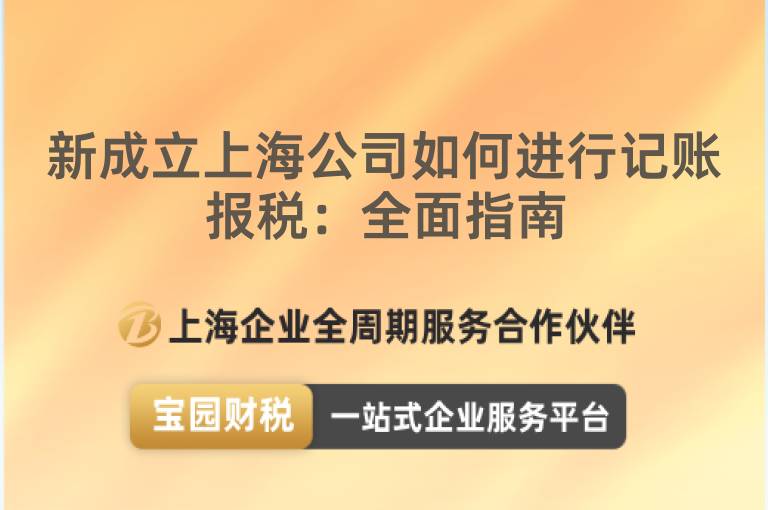 新成立上海公司如何進(jìn)行記賬報(bào)稅：全面指南