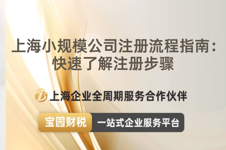 上海小規(guī)模公司注冊(cè)流程指南：快速了解注冊(cè)步驟