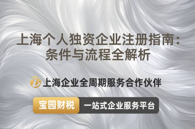 上海個人獨資企業注冊指南：條件與流程全解析