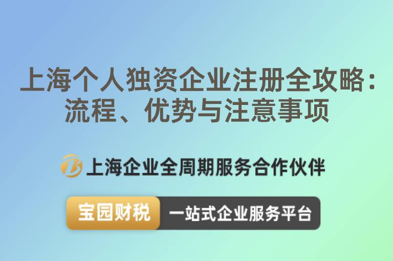 上海個人獨資企業注冊全攻略：流程、優勢與注意事項