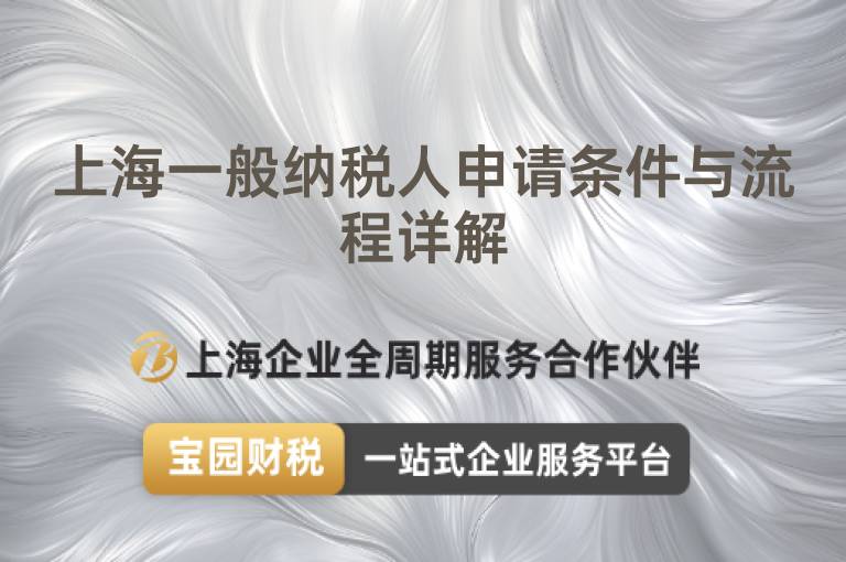 上海一般納稅人申請條件與流程詳解