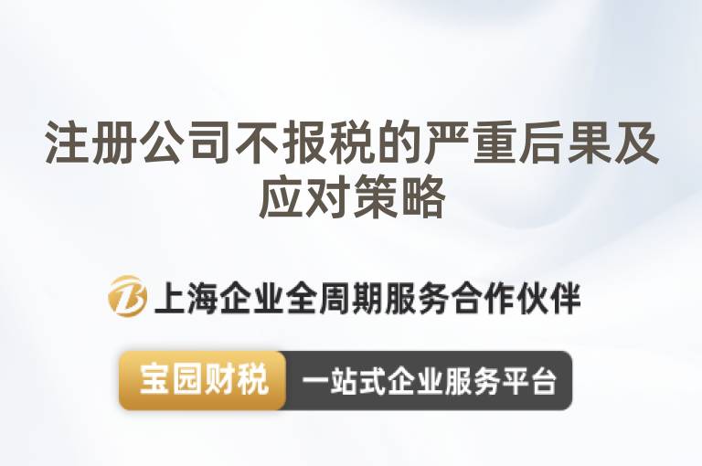 注冊公司不報稅的嚴重后果及應對策略