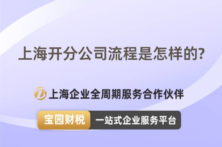 上海開分公司流程是怎樣的?