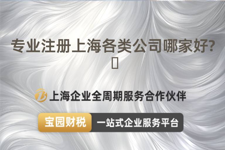 專業注冊上海各類公司哪家好? ?
