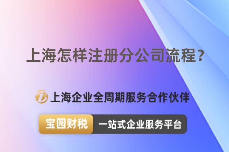 上海怎樣注冊分公司流程？