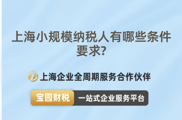 上海小規模納稅人有哪些條件要求?